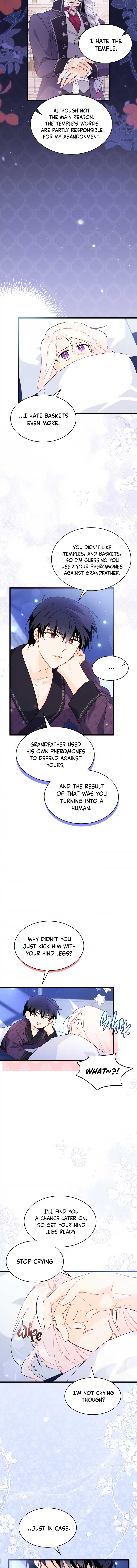 Read The Symbiotic Relationship Between the Rabbit and the Black Panther Manga Online