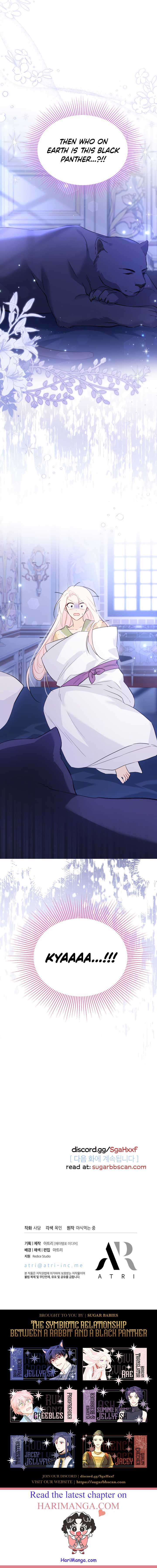 Read The Symbiotic Relationship Between the Rabbit and the Black Panther Manga Online