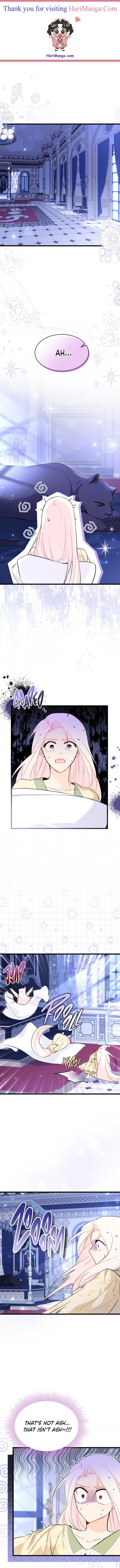 Read The Symbiotic Relationship Between the Rabbit and the Black Panther Manga Online