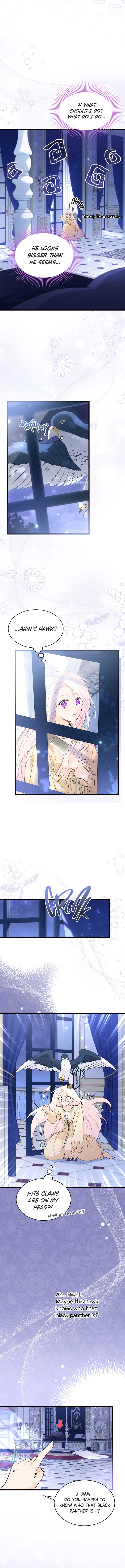 Read The Symbiotic Relationship Between the Rabbit and the Black Panther Manga Online