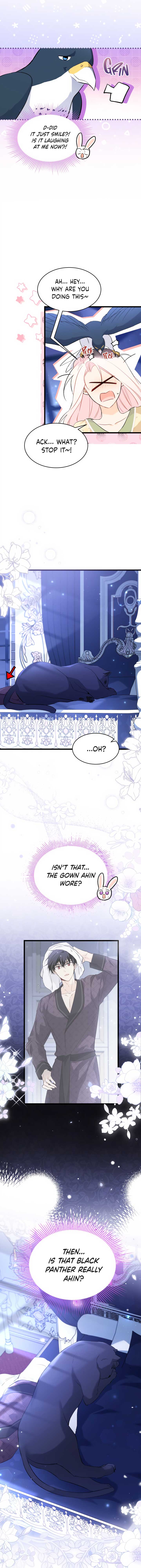 Read The Symbiotic Relationship Between the Rabbit and the Black Panther Manga Online