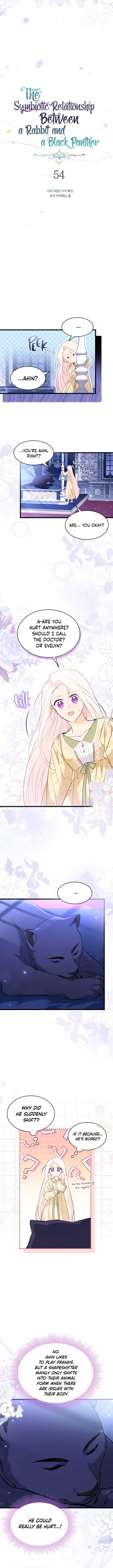 Read The Symbiotic Relationship Between the Rabbit and the Black Panther Manga Online