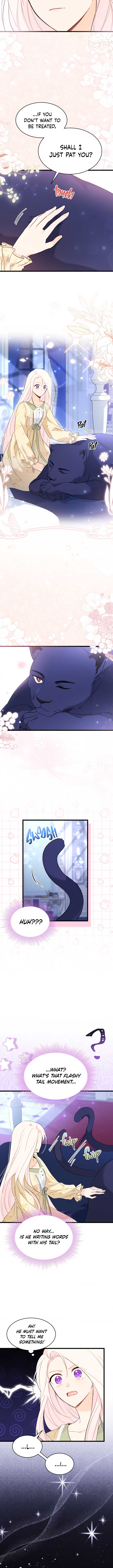 Read The Symbiotic Relationship Between the Rabbit and the Black Panther Manga Online