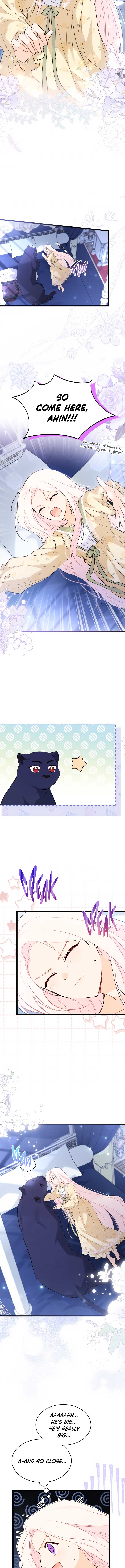 Read The Symbiotic Relationship Between the Rabbit and the Black Panther Manga Online