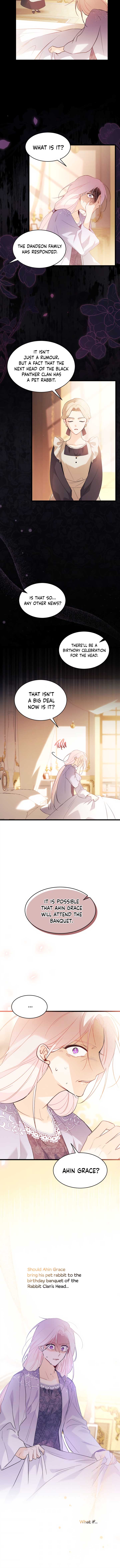 Read The Symbiotic Relationship Between the Rabbit and the Black Panther Manga Online