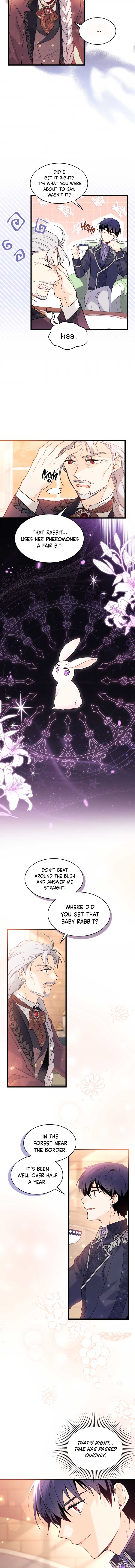 Read The Symbiotic Relationship Between the Rabbit and the Black Panther Manga Online