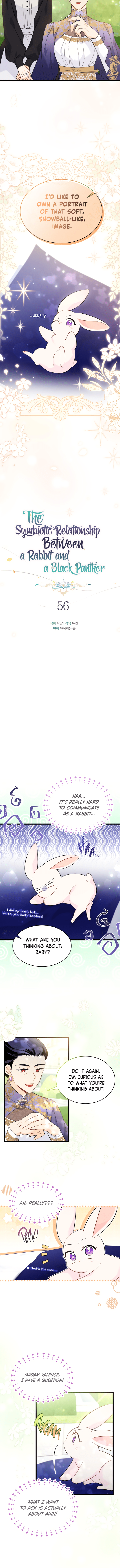 Read The Symbiotic Relationship Between the Rabbit and the Black Panther Manga Online