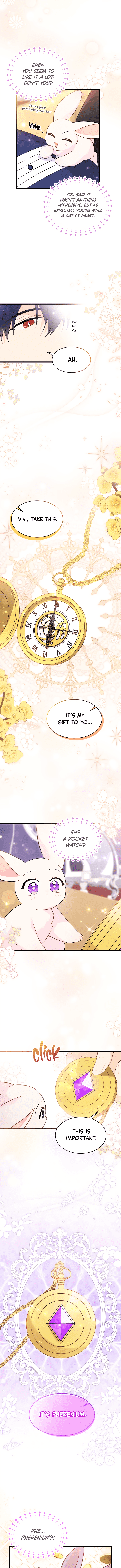 Read The Symbiotic Relationship Between the Rabbit and the Black Panther Manga Online