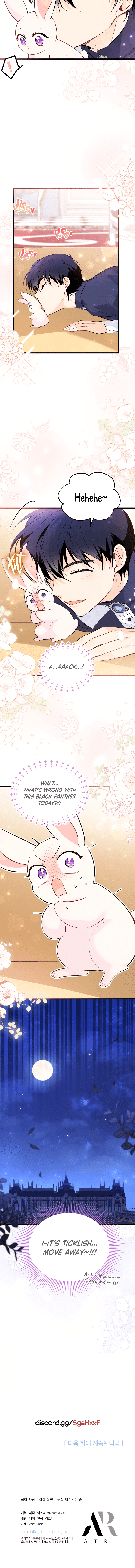 Read The Symbiotic Relationship Between the Rabbit and the Black Panther Manga Online