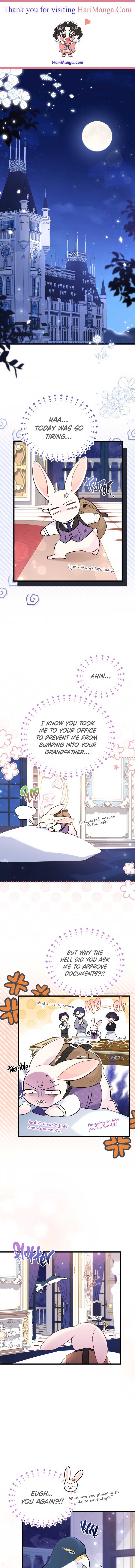 Read The Symbiotic Relationship Between the Rabbit and the Black Panther Manga Online