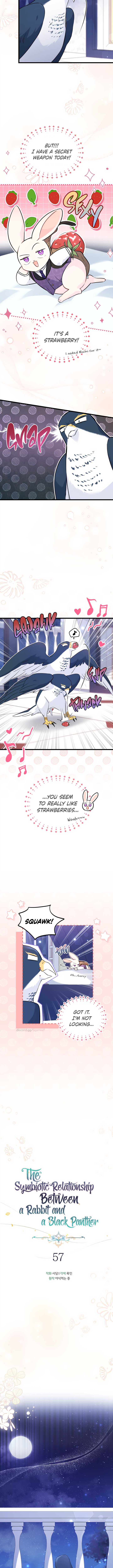 Read The Symbiotic Relationship Between the Rabbit and the Black Panther Manga Online