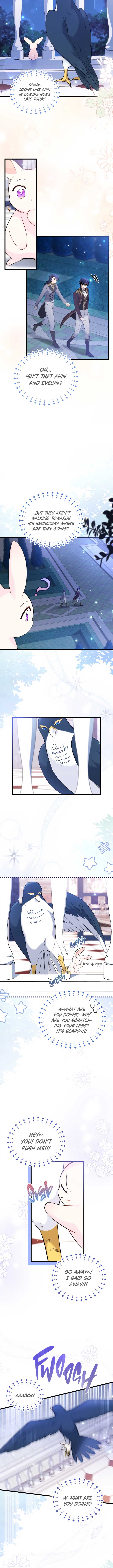 Read The Symbiotic Relationship Between the Rabbit and the Black Panther Manga Online