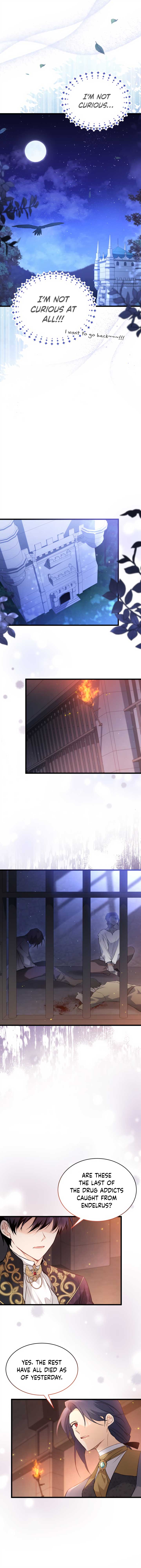 Read The Symbiotic Relationship Between the Rabbit and the Black Panther Manga Online