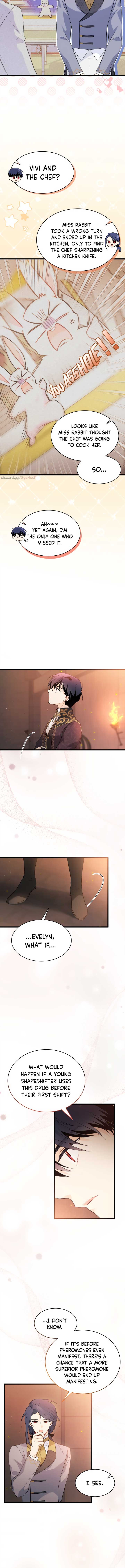 Read The Symbiotic Relationship Between the Rabbit and the Black Panther Manga Online