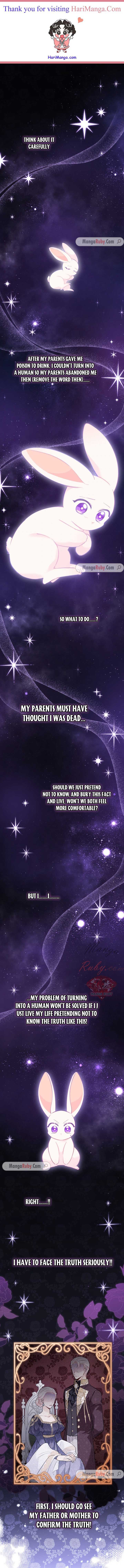 Read The Symbiotic Relationship Between the Rabbit and the Black Panther Manga Online