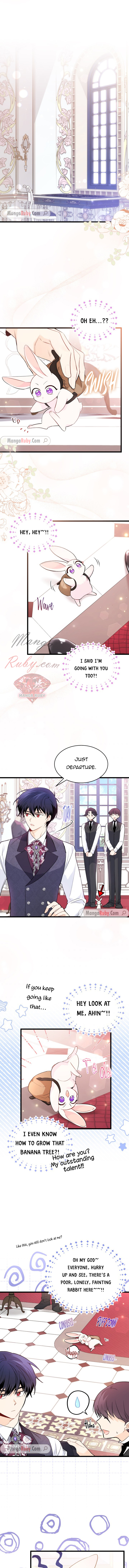 Read The Symbiotic Relationship Between the Rabbit and the Black Panther Manga Online