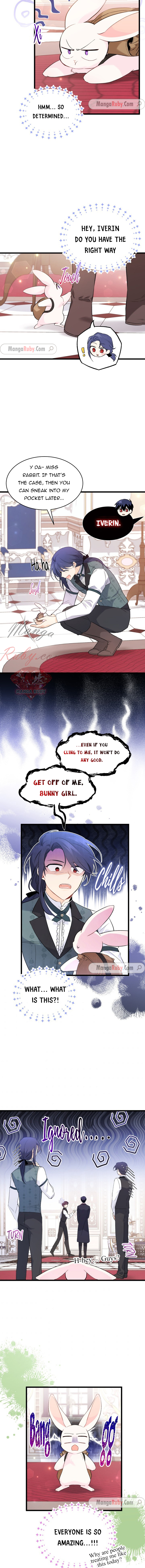 Read The Symbiotic Relationship Between the Rabbit and the Black Panther Manga Online