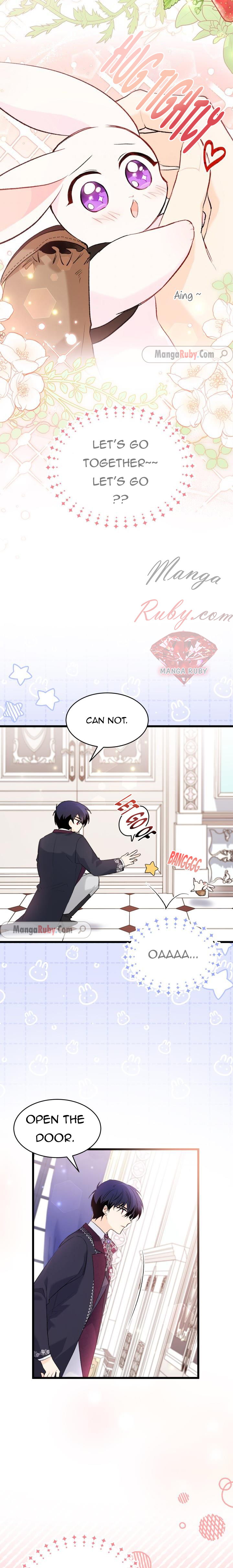 Read The Symbiotic Relationship Between the Rabbit and the Black Panther Manga Online