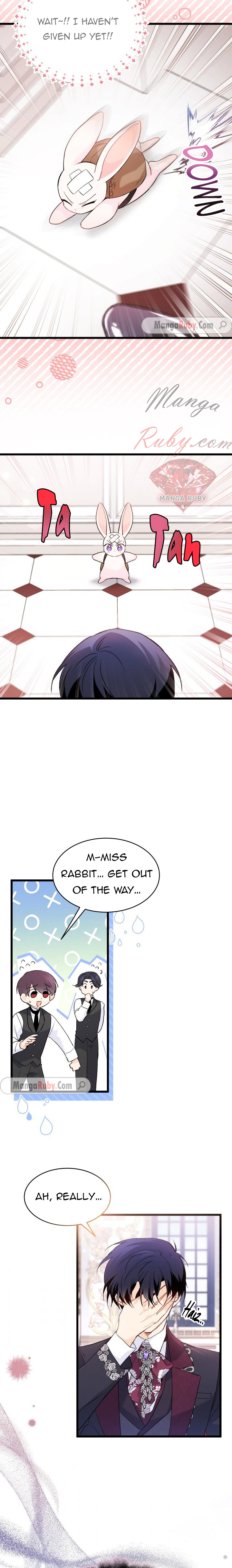 Read The Symbiotic Relationship Between the Rabbit and the Black Panther Manga Online