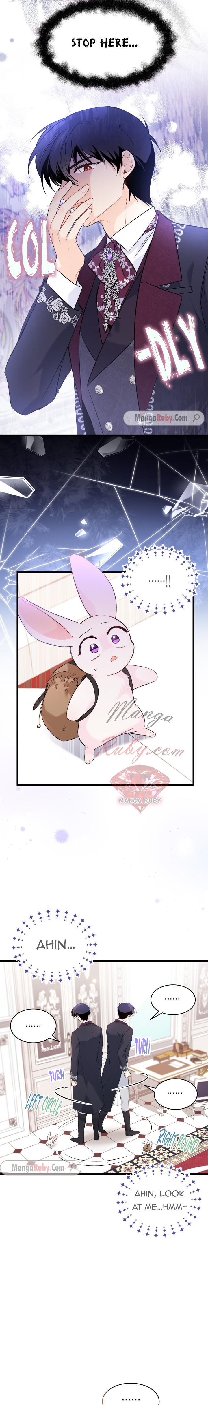 Read The Symbiotic Relationship Between the Rabbit and the Black Panther Manga Online