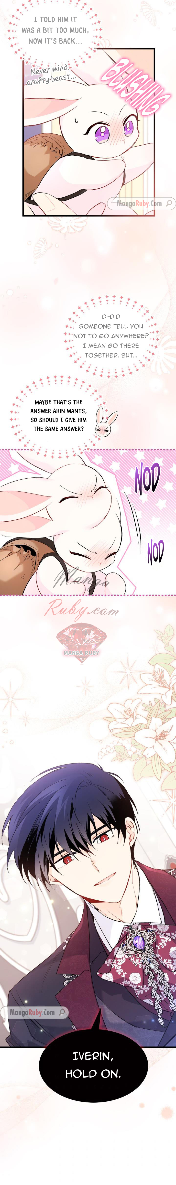 Read The Symbiotic Relationship Between the Rabbit and the Black Panther Manga Online