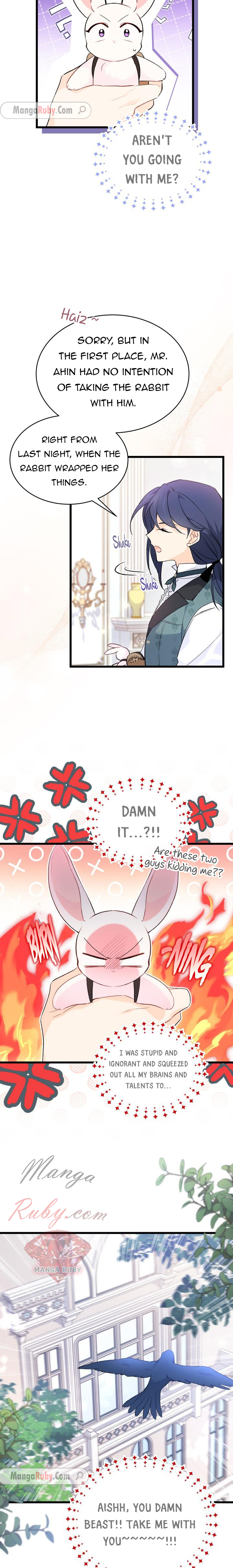 Read The Symbiotic Relationship Between the Rabbit and the Black Panther Manga Online