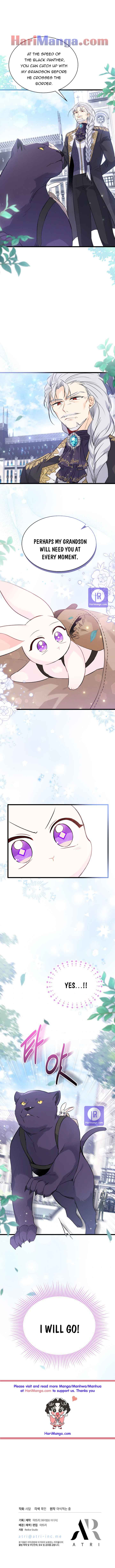 Read The Symbiotic Relationship Between the Rabbit and the Black Panther Manga Online