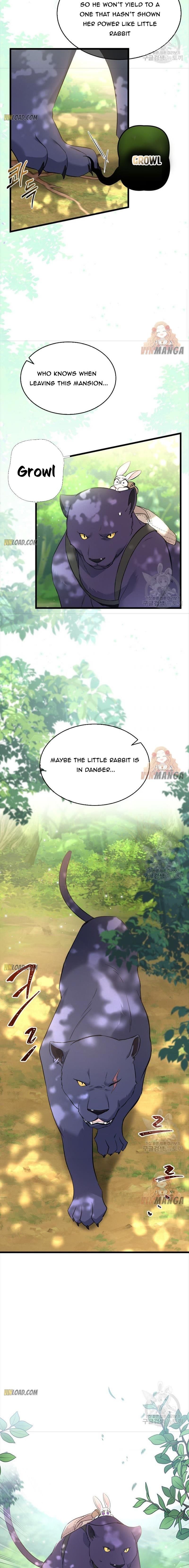 Read The Symbiotic Relationship Between the Rabbit and the Black Panther Manga Online