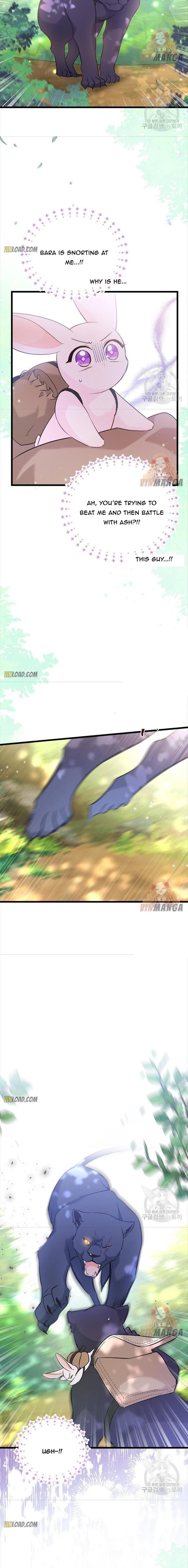 Read The Symbiotic Relationship Between the Rabbit and the Black Panther Manga Online