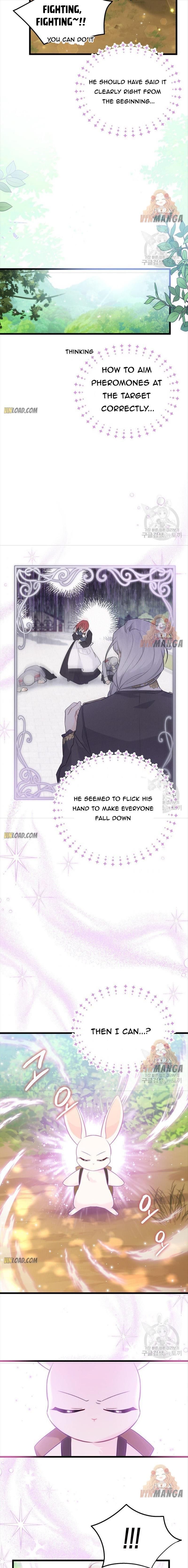 Read The Symbiotic Relationship Between the Rabbit and the Black Panther Manga Online