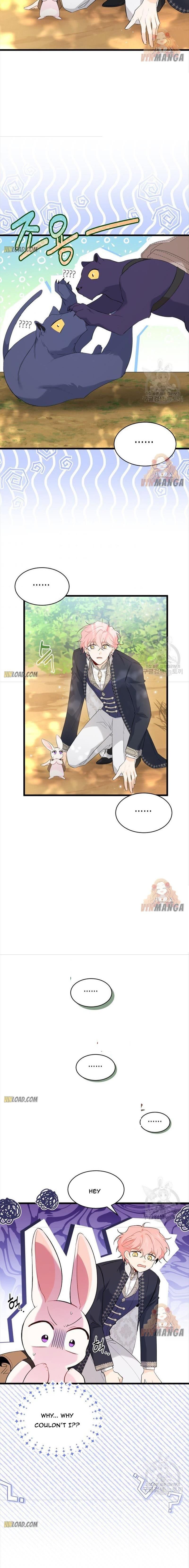 Read The Symbiotic Relationship Between the Rabbit and the Black Panther Manga Online