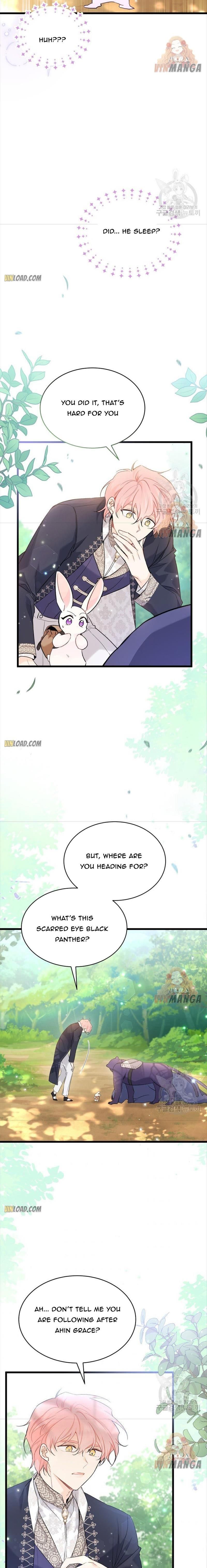 Read The Symbiotic Relationship Between the Rabbit and the Black Panther Manga Online