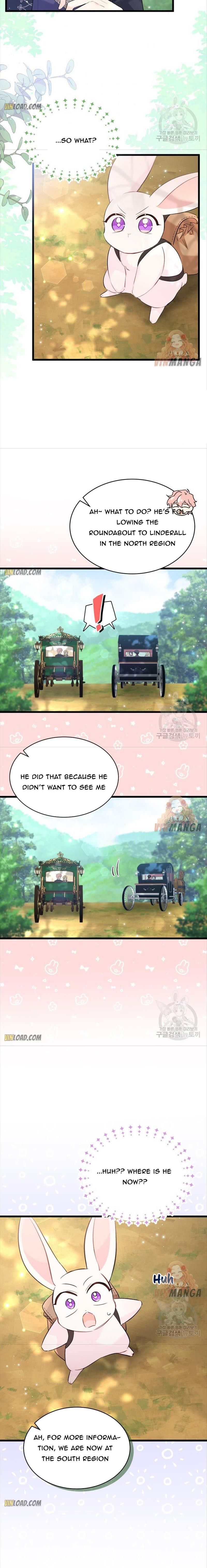 Read The Symbiotic Relationship Between the Rabbit and the Black Panther Manga Online