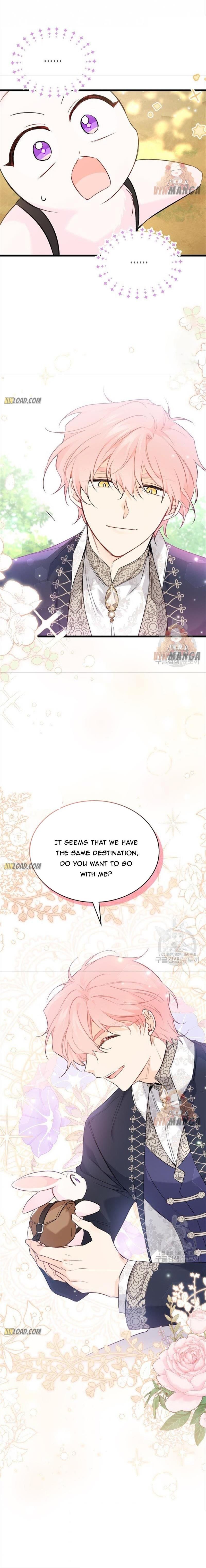 Read The Symbiotic Relationship Between the Rabbit and the Black Panther Manga Online