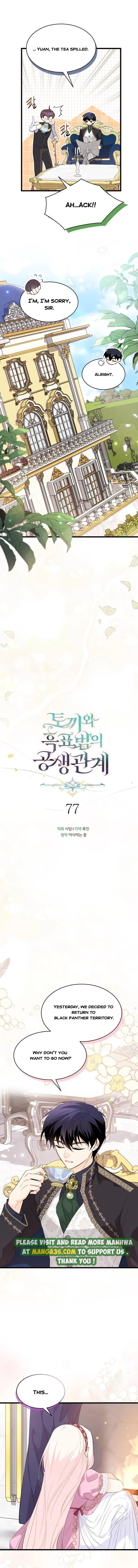 Read The Symbiotic Relationship Between the Rabbit and the Black Panther Manga Online