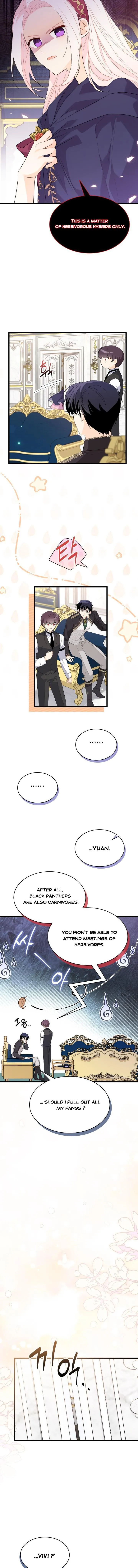 Read The Symbiotic Relationship Between the Rabbit and the Black Panther Manga Online