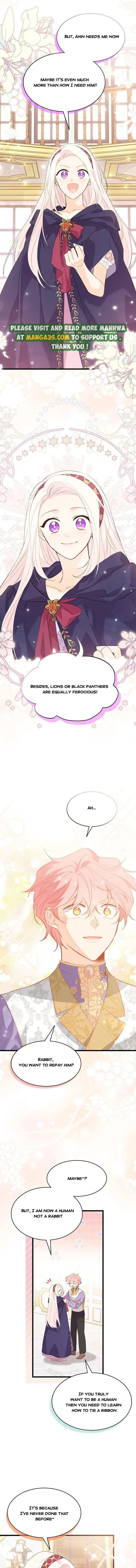 Read The Symbiotic Relationship Between the Rabbit and the Black Panther Manga Online