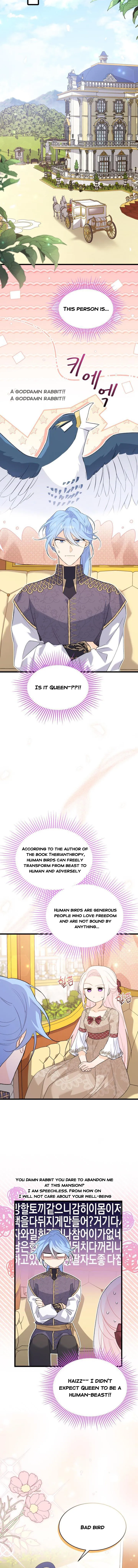 Read The Symbiotic Relationship Between the Rabbit and the Black Panther Manga Online