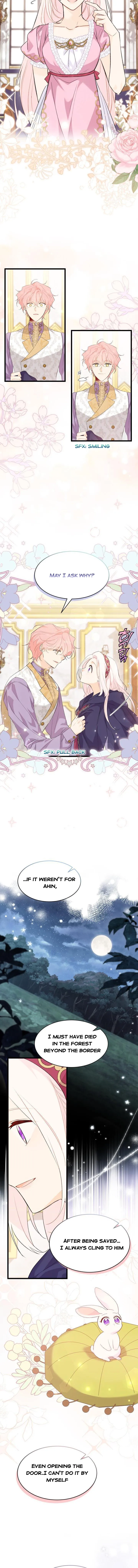 Read The Symbiotic Relationship Between the Rabbit and the Black Panther Manga Online