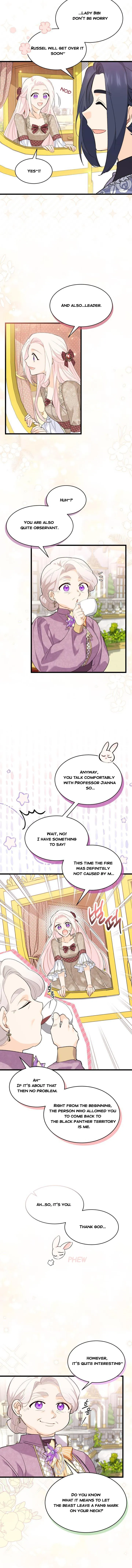 Read The Symbiotic Relationship Between the Rabbit and the Black Panther Manga Online