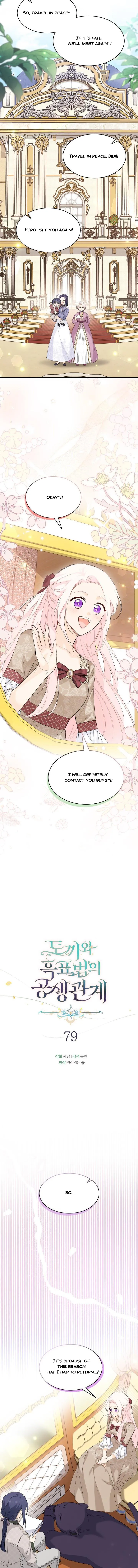 Read The Symbiotic Relationship Between the Rabbit and the Black Panther Manga Online