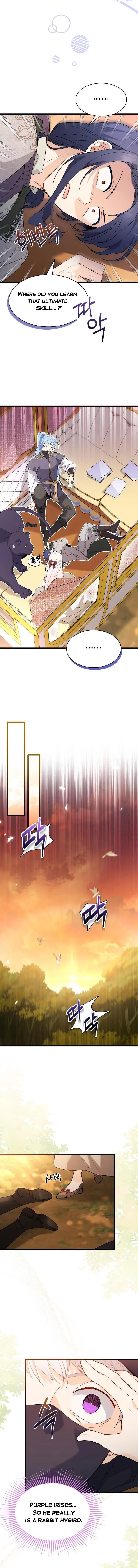 Read The Symbiotic Relationship Between the Rabbit and the Black Panther Manga Online