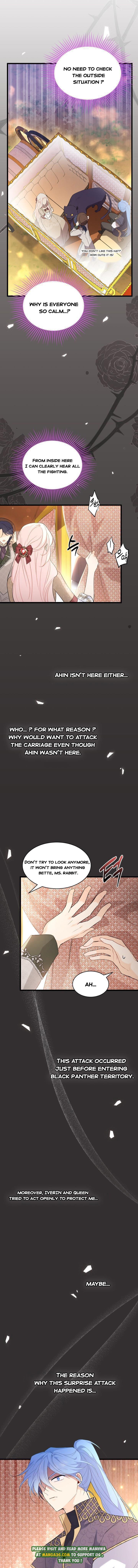 Read The Symbiotic Relationship Between the Rabbit and the Black Panther Manga Online