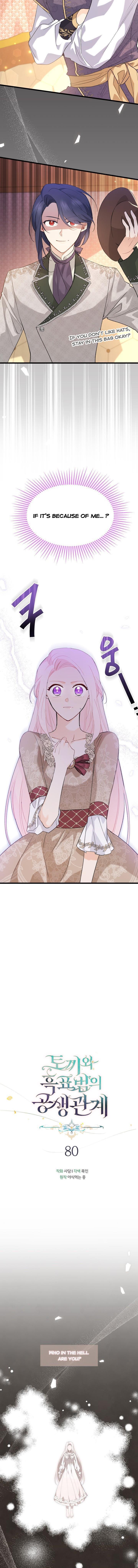 Read The Symbiotic Relationship Between the Rabbit and the Black Panther Manga Online