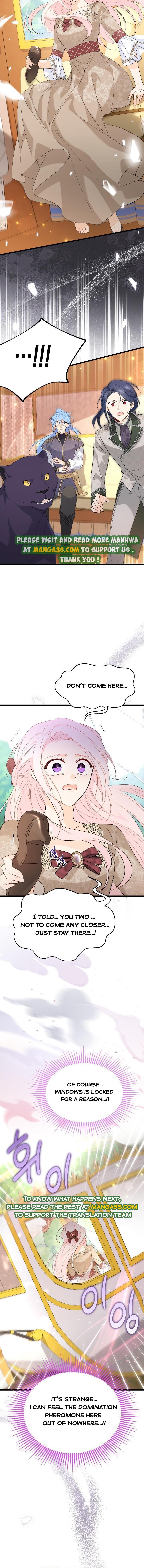 Read The Symbiotic Relationship Between the Rabbit and the Black Panther Manga Online