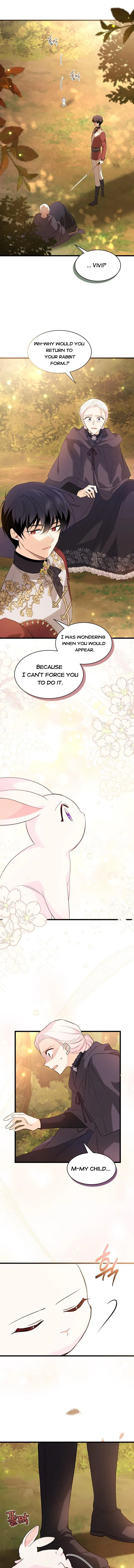 Read The Symbiotic Relationship Between the Rabbit and the Black Panther Manga Online