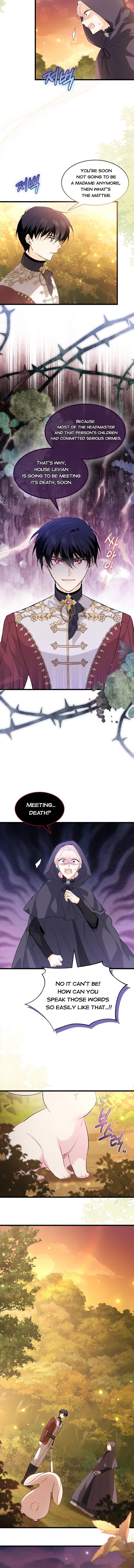 Read The Symbiotic Relationship Between the Rabbit and the Black Panther Manga Online