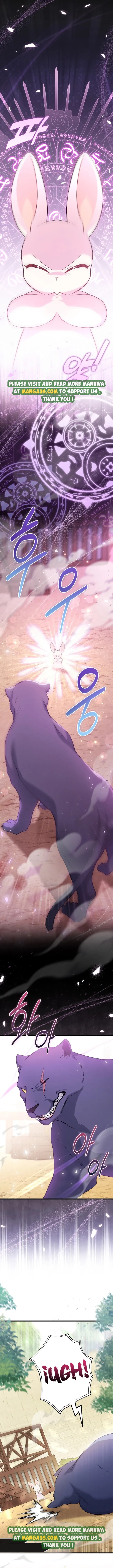 Read The Symbiotic Relationship Between the Rabbit and the Black Panther Manga Online