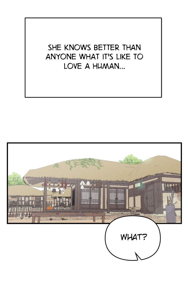 Read The Tale of a Fox's Love Manga Online