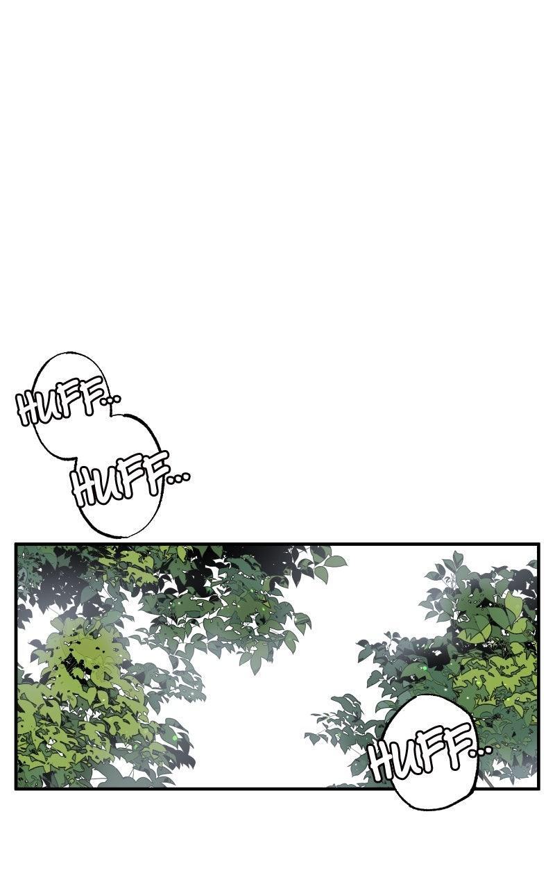 Read The Tale of a Fox's Love Manga Online